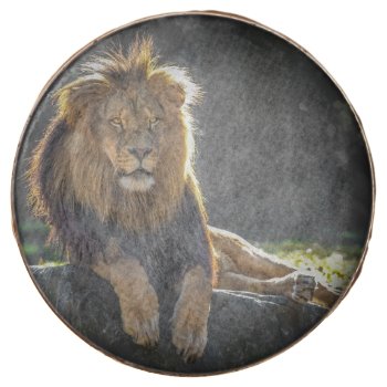 Lion King Of The Jungle Chocolate Covered Oreo by Winterwoodphoto at Zazzle