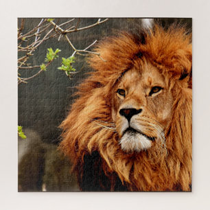 Lion, King of the Jungle Jigsaw Puzzle