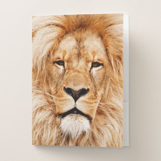 Lion King Pocket Folder (Front)