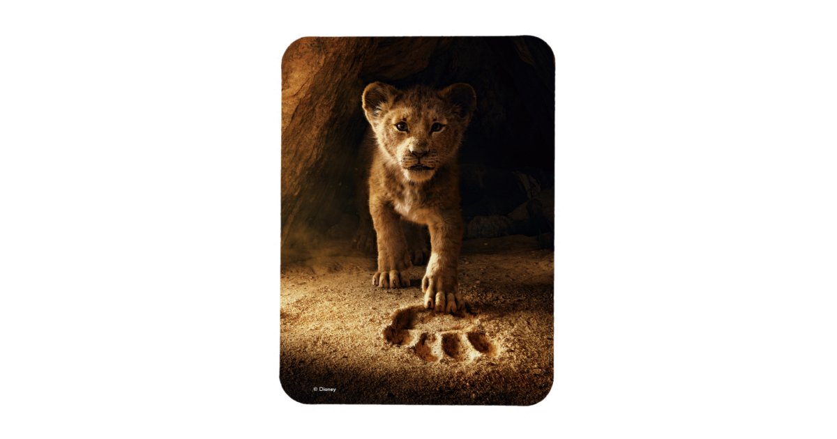 Lion King Simba Following In Mufasa S Step Magnet Zazzle Com