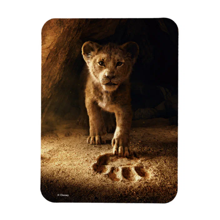 Lion King Simba Following In Mufasa S Step Magnet Zazzle Com