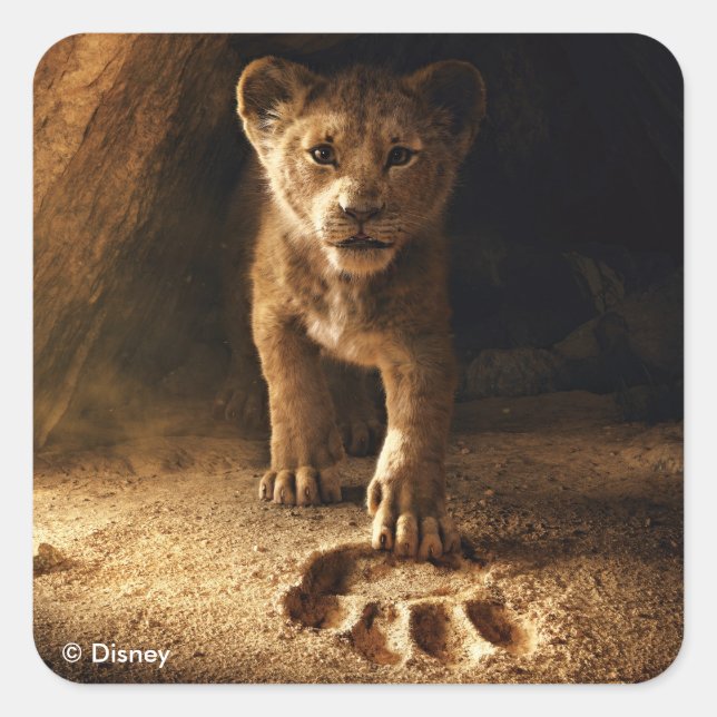 Lion King | Simba Following In Mufasa's Step Square Sticker (Front)