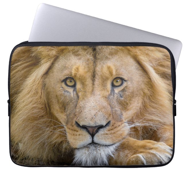 LION LAPTOP SLEEVES (Front)