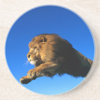 Lion Leaping and Blue Sky Coaster