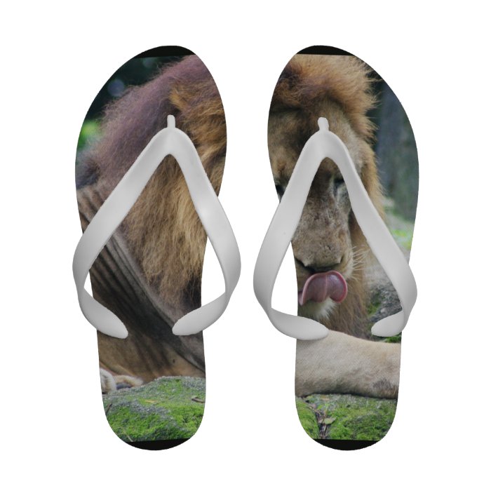 Lion Licking His Chops Flip Flops