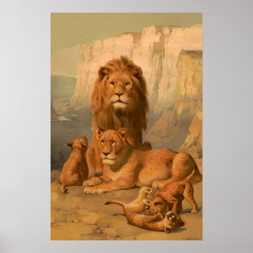 Lion lioness and cubs poster