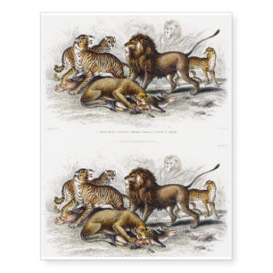Lion, Lioness, Bengal Tiger, Leopard Temporary Tattoos