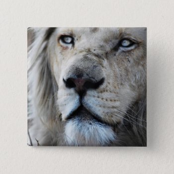 Lion Listens To My Heartbeat Africa Pinback Button by laureenr at Zazzle