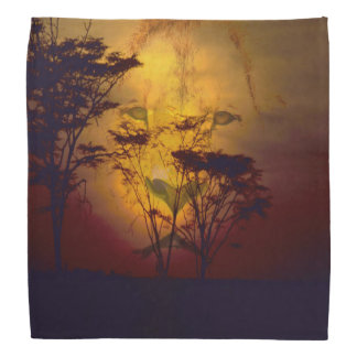 Lion Looking Over African Sunset Bandana