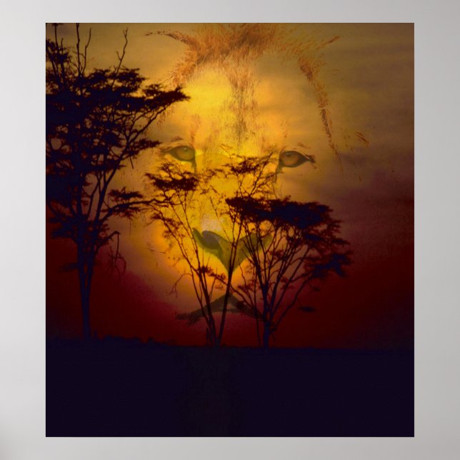 Lion Looking Over African Sunset Poster (Front)