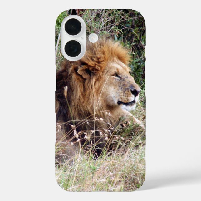 lion looks Case-Mate iPhone case (Back)