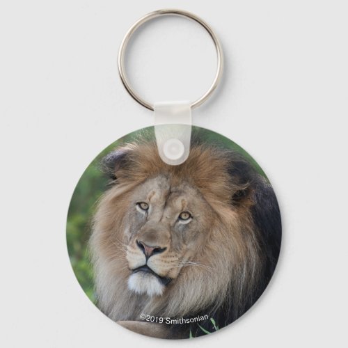 Lion Lounging in a Forest Keychain