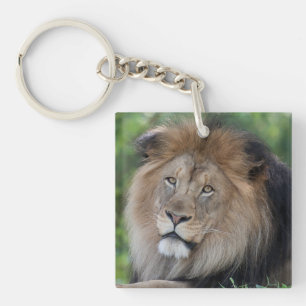 Lion Lounging in a Forest Keychain