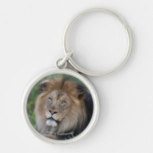 Lion Lounging in a Forest Keychain