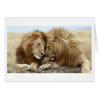 Lion Love Cards