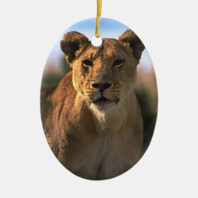 Lion Lovers Christmas Ornament (Front)