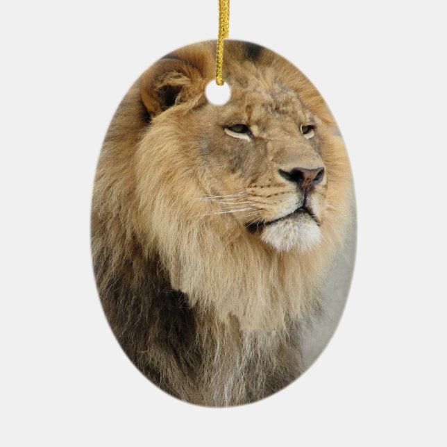 Lion Lovers Christmas Ornament (Front)