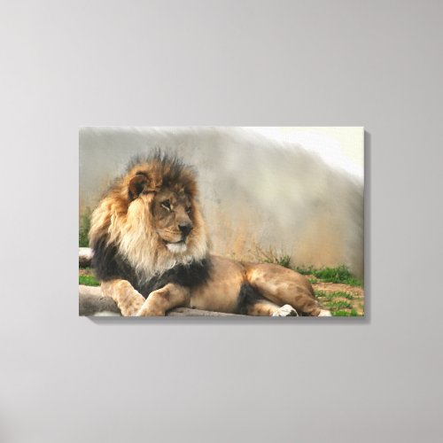 Lion Lovers King Of the Jungle Canvas Print