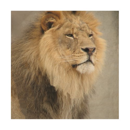 Lion Lovers King of the Jungle Wood Wall Decor