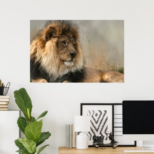 Lion Lovers Lion At Rest Poster