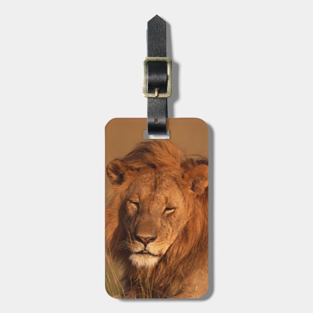 Lion Luggage Tag (Front Vertical)