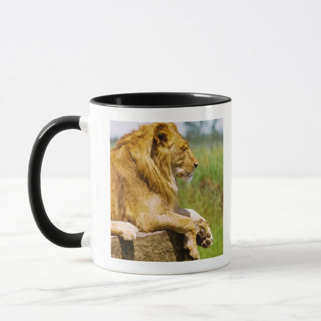 Lion lying on a rock mug (Left)