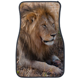 Lion Maasai Mara National Reserve, Kenya Car Mat