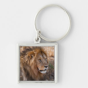 Lion Maasai Mara National Reserve, Kenya Keychain