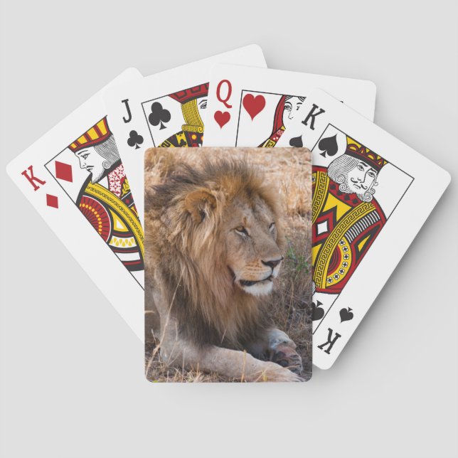 Lion Maasai Mara National Reserve, Kenya Poker Cards (Back)