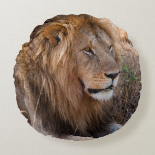 Lion Maasai Mara National Reserve, Kenya Round Pillow