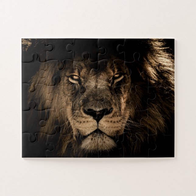 LION MALE LION PHOTOGRAPHY JIGSAW PUZZLE (Horizontal)