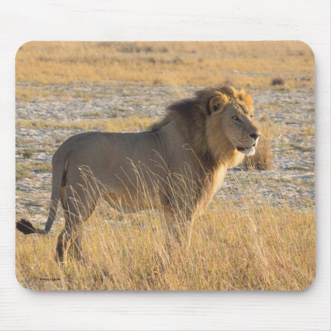 LION MALE MOUSE PAD (Front)