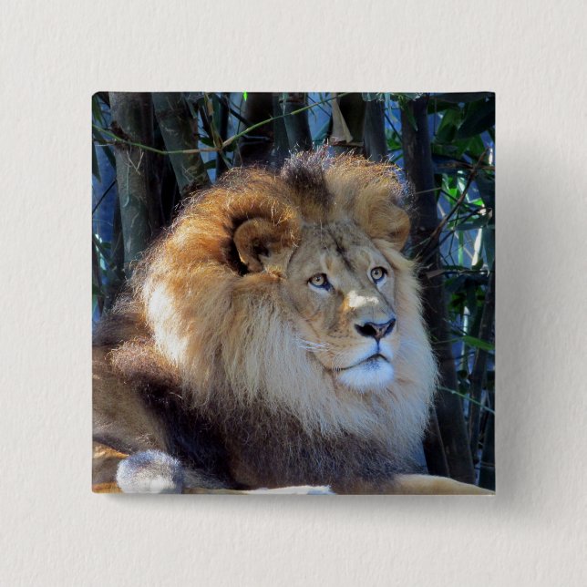 lion mane pinback button (Front)