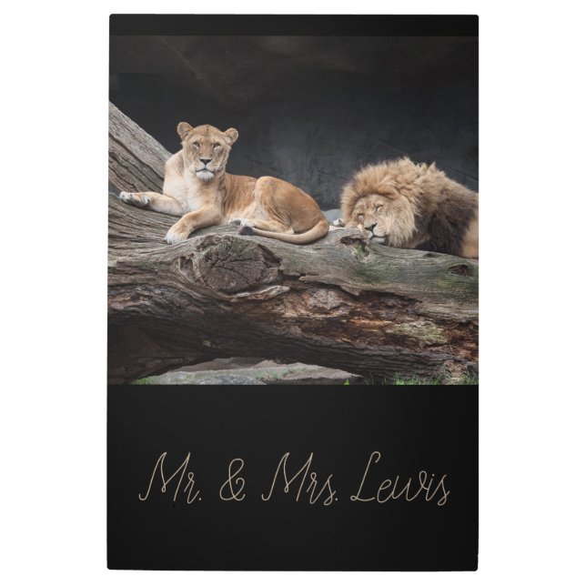 Lion Mates Couple Love Home Destiny Destiny'S Metal Print (Front)