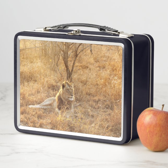 Lion Metal Lunch Box (In Situ)