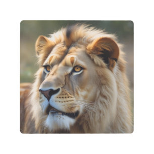 Lion Metal Print