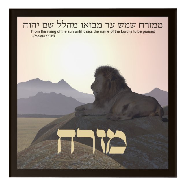 Lion Mizrach Acrylic Print (Front)