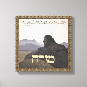 Lion Mizrach Canvas Print