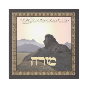 Lion Mizrach Metal Print