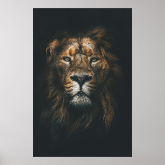Lion Modern Photography Poster