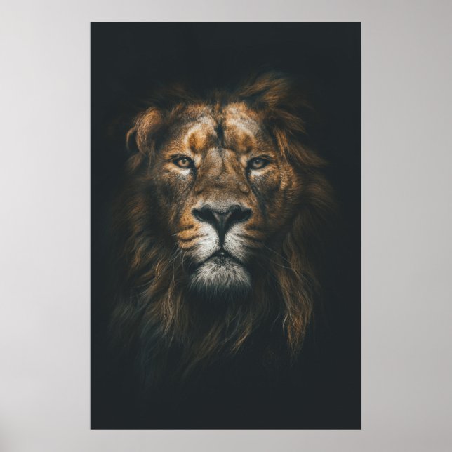 Lion Modern Photography Poster (Front)