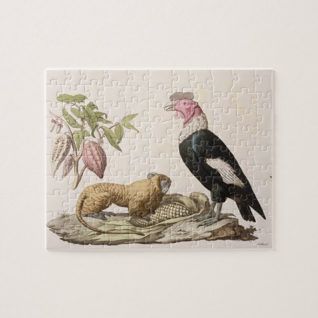 Lion monkey and condor, native to Chile or Ecuador Jigsaw Puzzle (Horizontal)