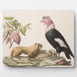 Lion monkey and condor, native to Chile or Ecuador Plaque