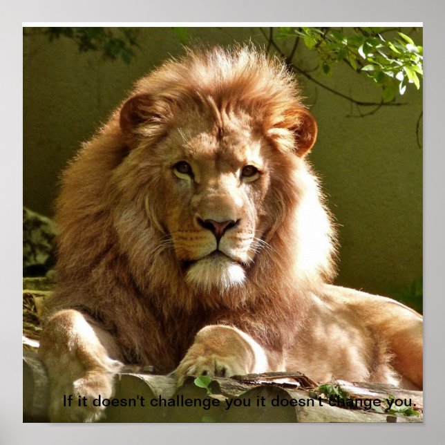 Lion motivational quote poster (Front)