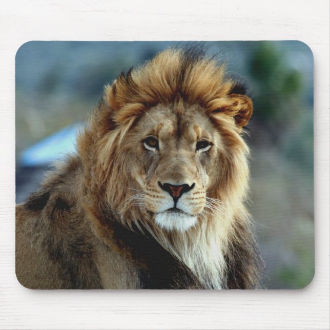 Lion Mouse Pad (Front)