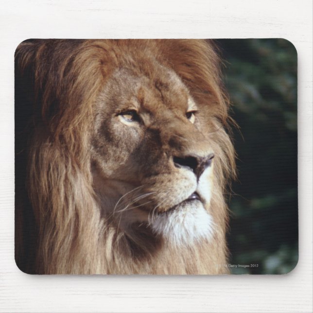 lion mouse pad (Front)