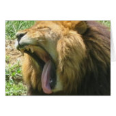 Lion mouth (Front Horizontal)