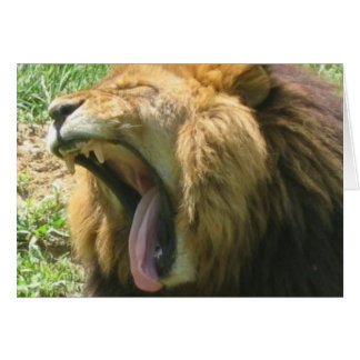 Lion mouth cards