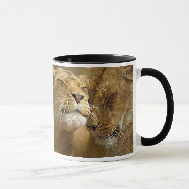 Lion Mugs (Right)