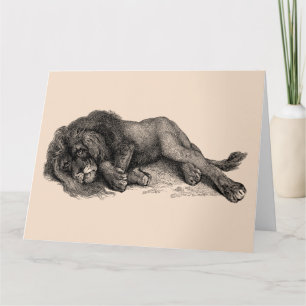 LION NAP FUNNY CUTE BIRTHDAY CARD